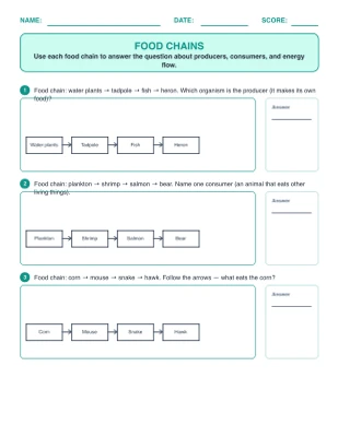 Food Chains worksheet generator