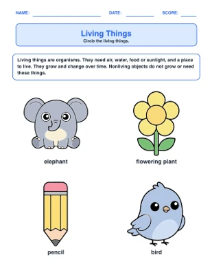 Living Things worksheet generator