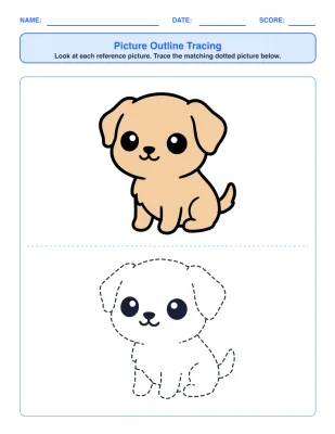 Picture Outline Tracing worksheet generator