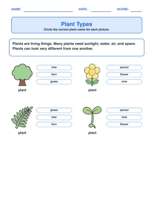 Plant Life & Parts worksheet generator