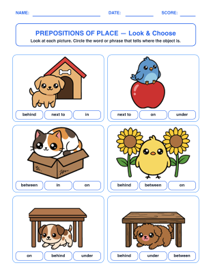 Prepositions of Place Picture Grammar worksheet generator